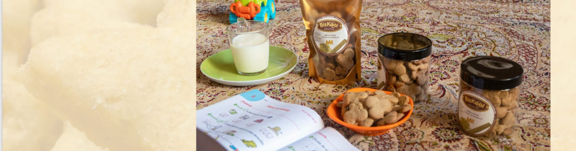 Maamndoumbe3_Plan de travail 1